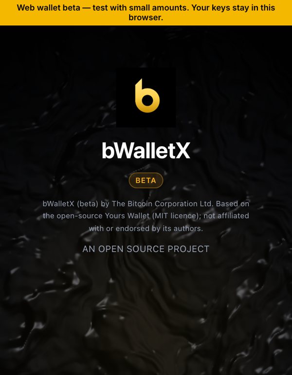 The bWalletX web wallet start screen