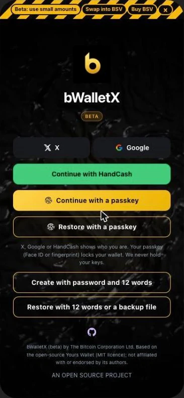 The bWalletX sign-in screen on a phone: X and Google side by side, Continue with HandCash, Continue with a passkey, Restore with a passkey